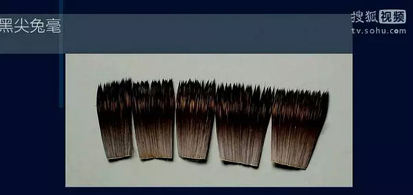 black-tipped rabbit bristles