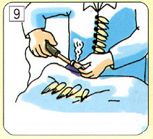 Tie the base tightly with hemp rope, burn and fix it with a branding iron to complete the brush head.