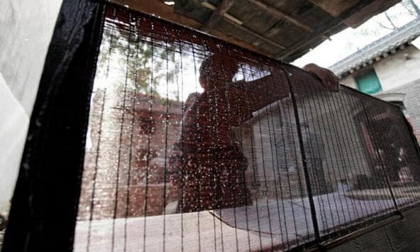 bamboo screens
