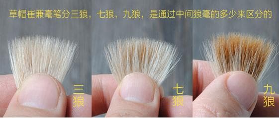 Caomao Cui's mixed-hair brush - the yellow hair is wolf hair and the white hair is goat hair. The more white hair you see, the higher the goat hair content.