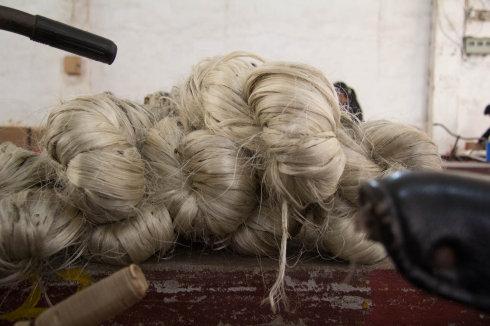 This is hemp bundled for sale