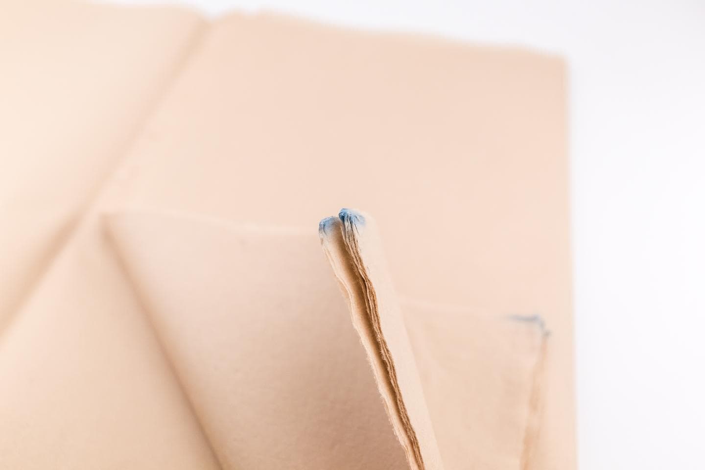 This is Qiming Wenfang's Chanyi (Cicada Wing) Maobian paper