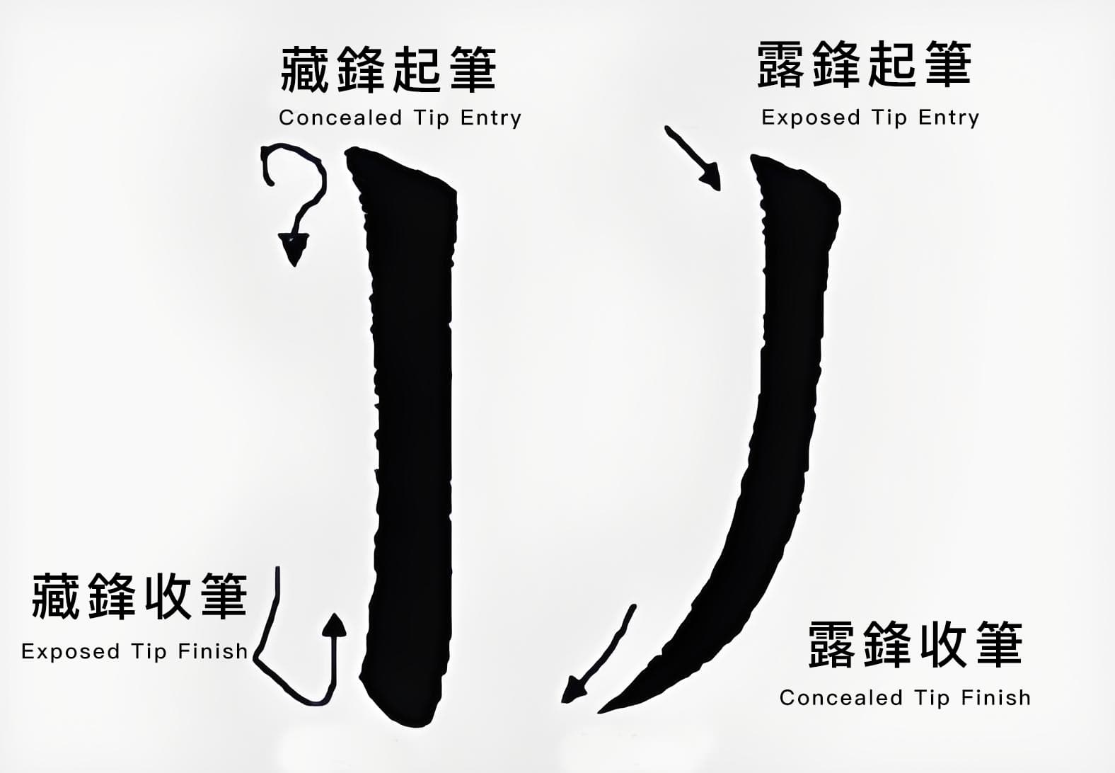 Concealed Tips vs Exposed Tips in Chinese Calligraphy Strokes