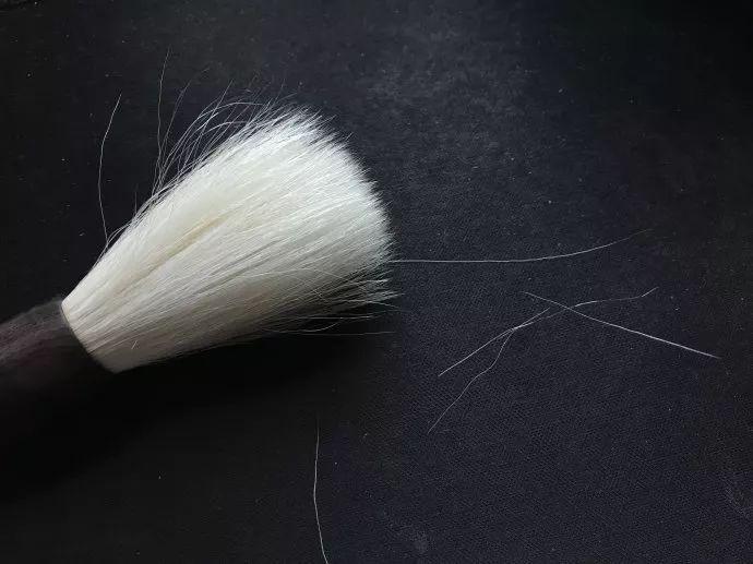 Chinese brushes shed