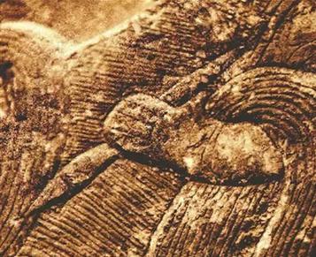 The grip-style brush-holding method