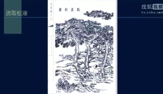 Pine soot comes from burning pine trees. 