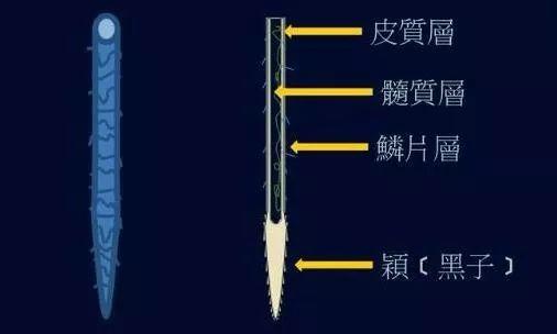 This is a diagram created by Teacher Huang Jian in his basic calligraphy tutorial