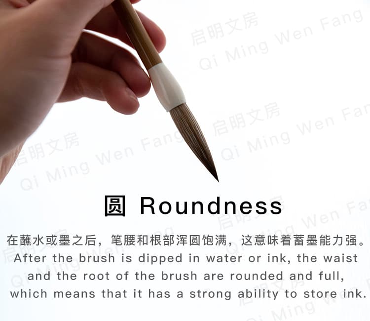 After the brush is dipped in water or ink,the waistand the root of the brush are rounded and full,which means that it has a strong ability to store ink.