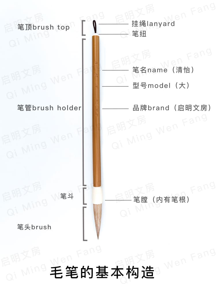 Calligraphy Brush Structure