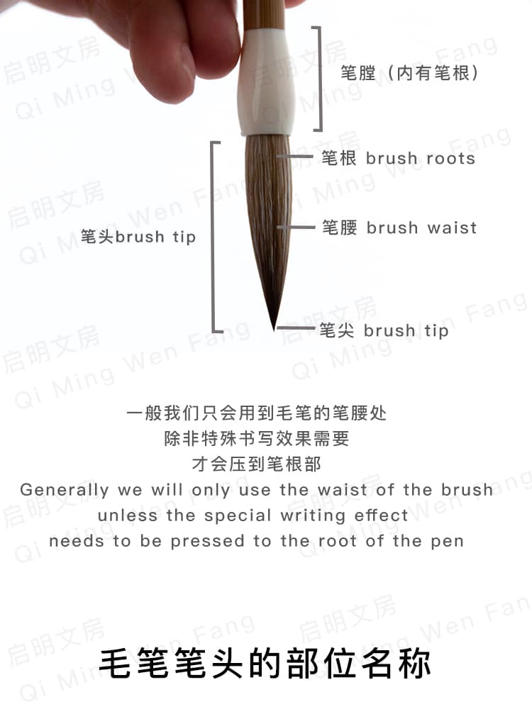 Calligraphy Brush Tip Structure