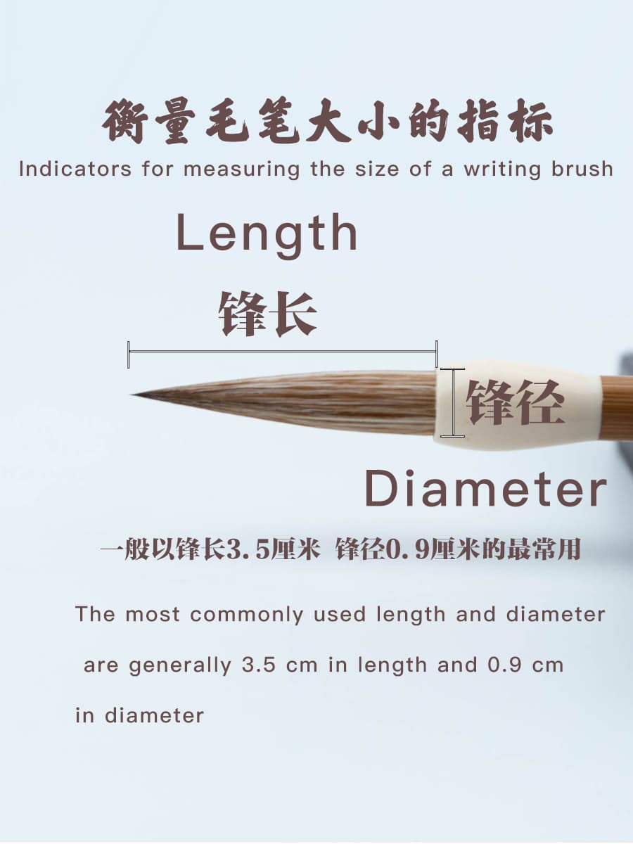 the brush diameter (the width at the base of the brush tip) and the brush length (the length of bristles extending from the handle).